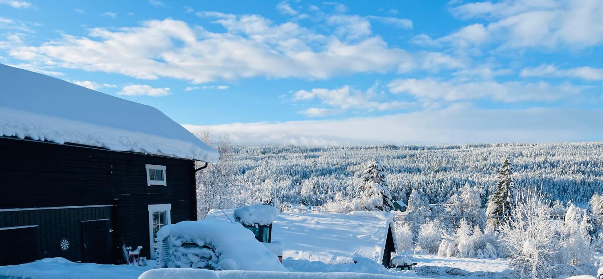 Lillstugan Saelen By Exterior foto